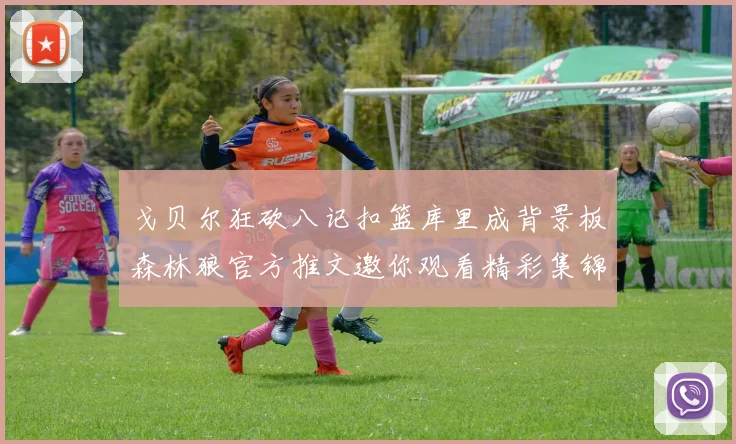 戈贝尔狂砍八记扣篮库里成背景板森林狼官方推文邀你观看精彩集锦